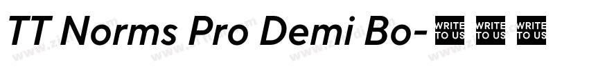 TT Norms Pro Demi Bo字体转换